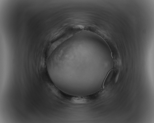 X0000086000331200703300953