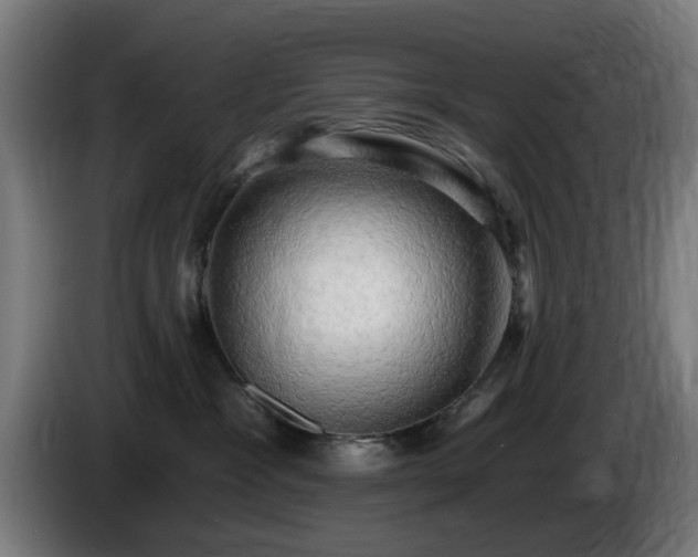 X0000086000333200703300953