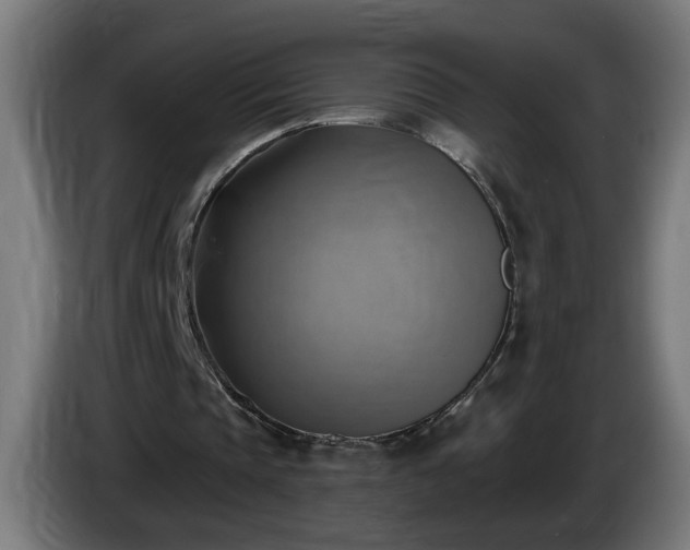 X0000086000337200703300952