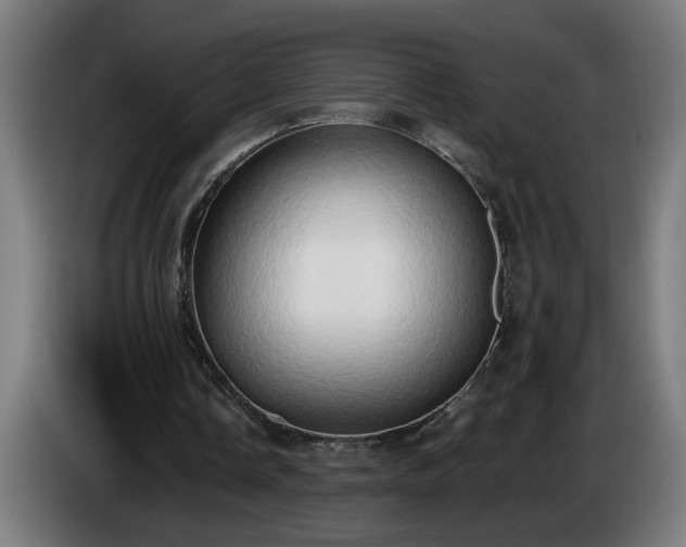 X0000086000338200703300952