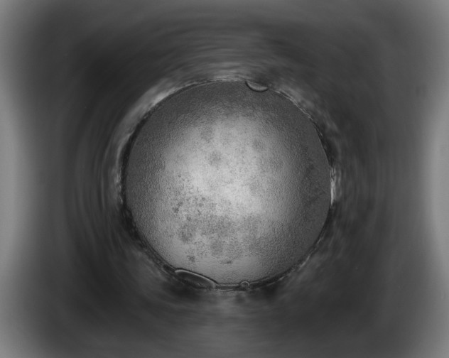 X0000086000339200703300952