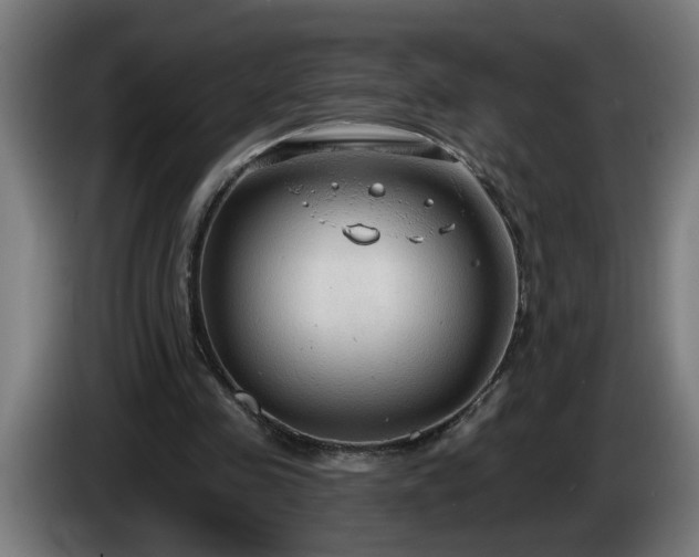 X0000086000341200703300952