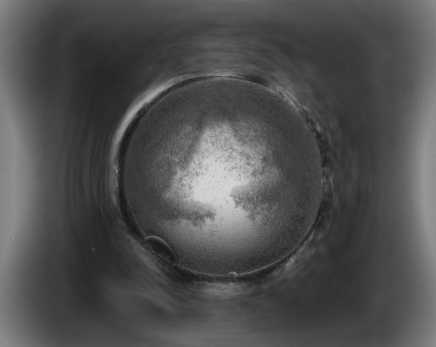 X0000086000342200703300952