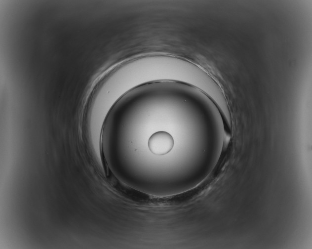 X0000086000344200703300952