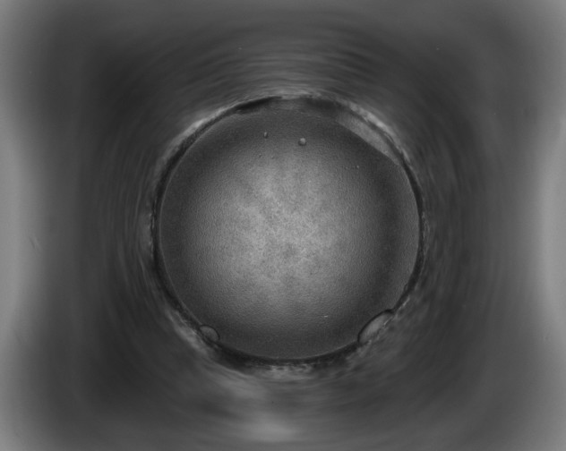 X0000086000345200703300952