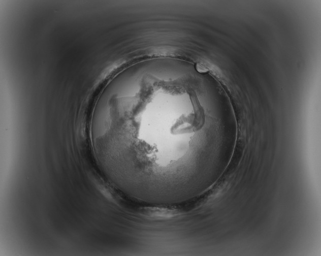 X0000086000347200703300953