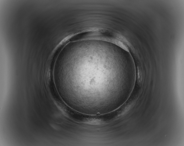 X0000086000348200703300953