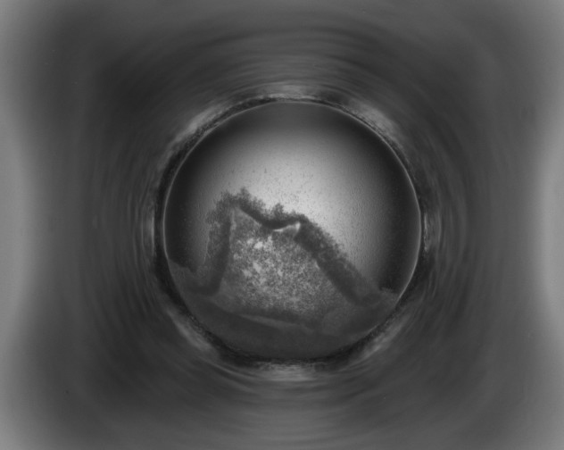 X0000086000349200703300953