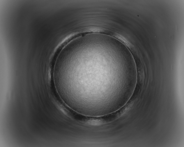 X0000086000350200703300953