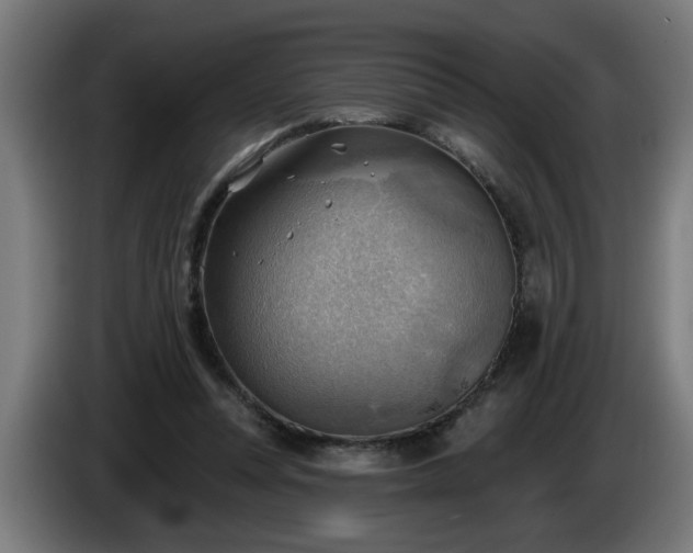 X0000086000351200703300953