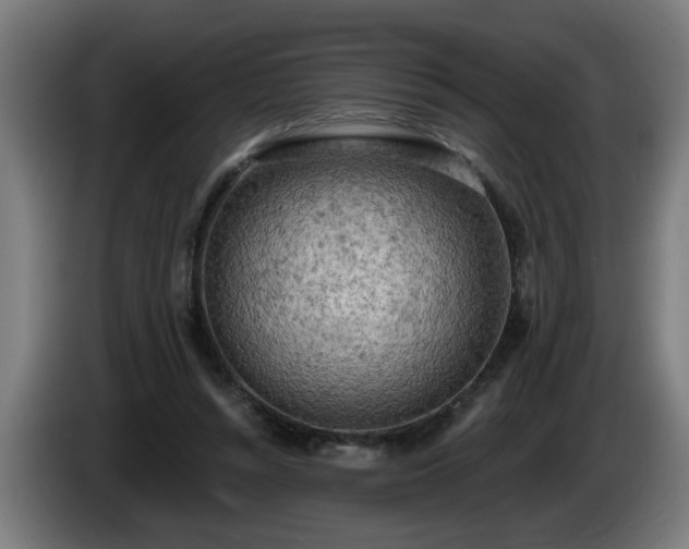 X0000086000352200703300953