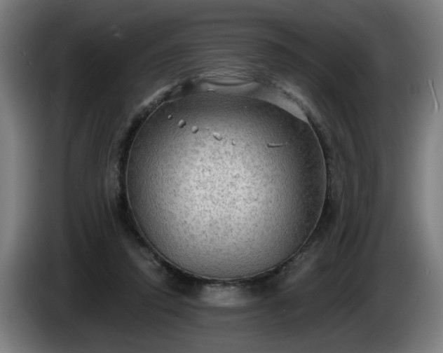 X0000086000354200703300953