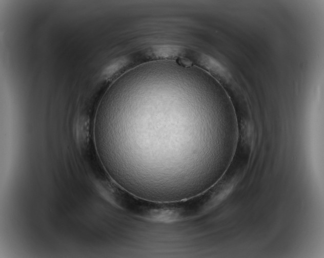 X0000086000356200703300953