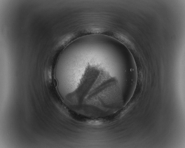 X0000086000358200703300953