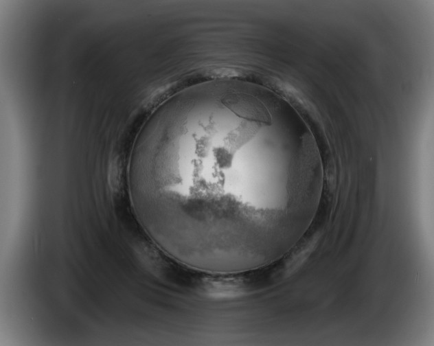 X0000086000359200703300953