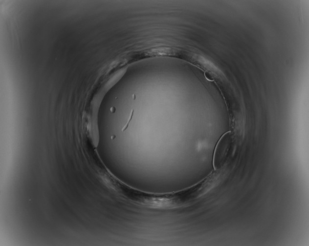 X0000086000361200703300953