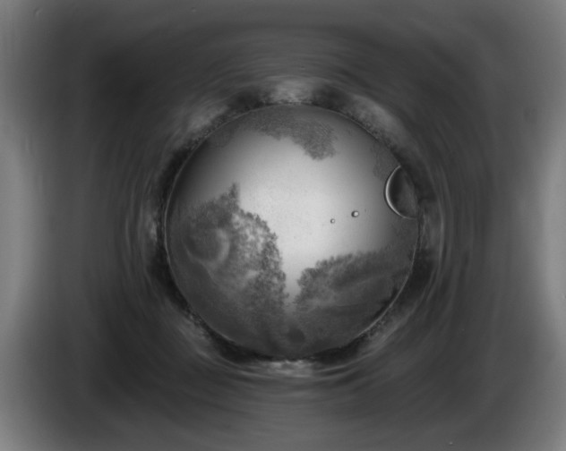 X0000086000363200703300953