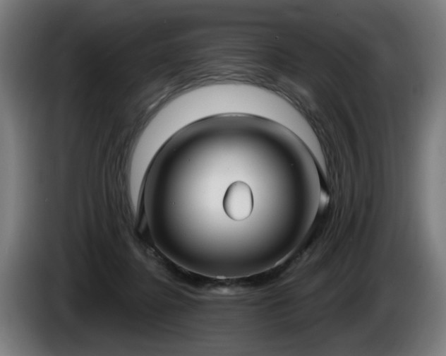 X0000086000364200703300953