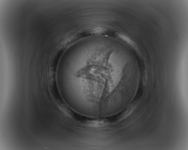 X0000086000366200703300953