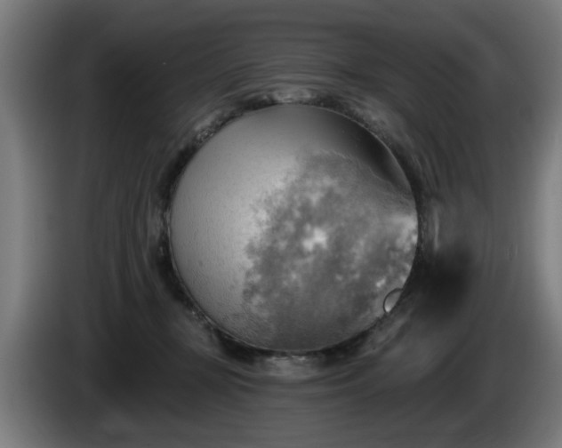 X0000086000367200703300953