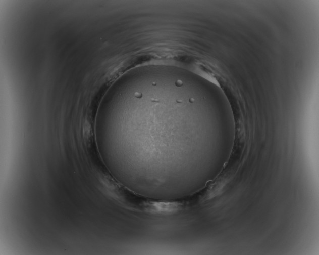 X0000086000371200703300953