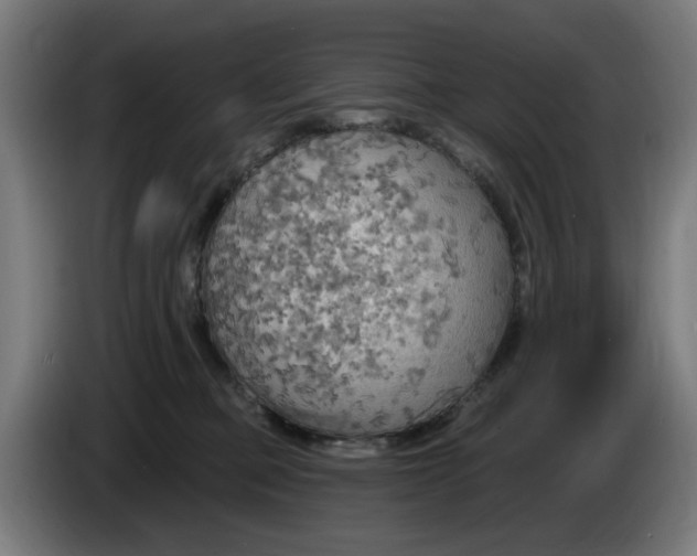 X0000086000373200703300953