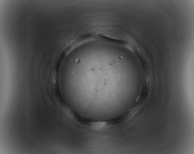 X0000086000374200703300953