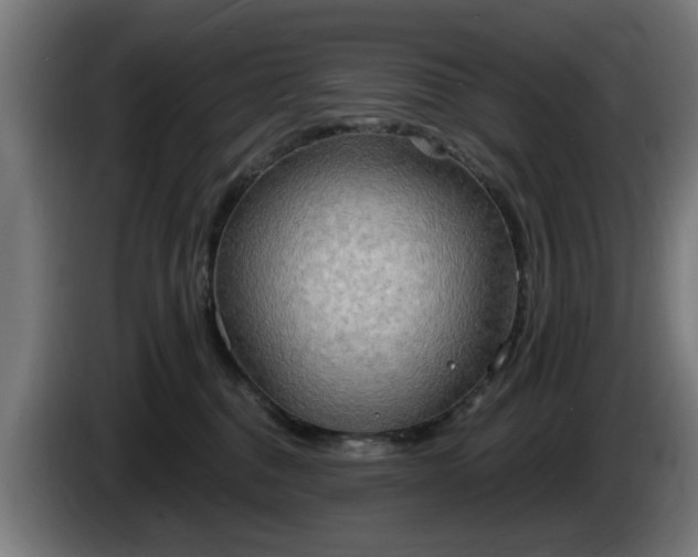 X0000086000376200703300953