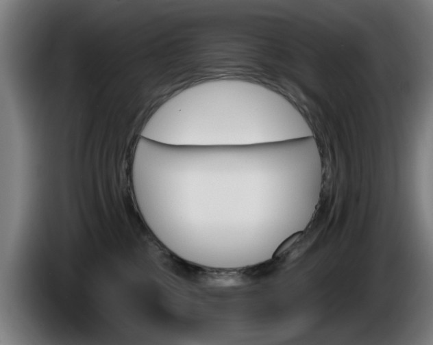 X0000086000377200703300953