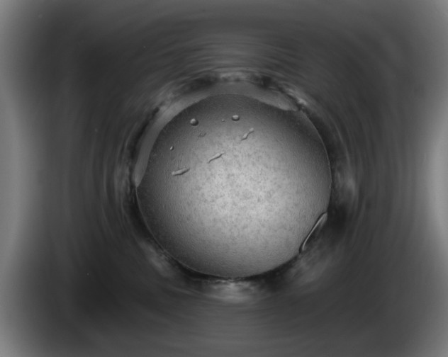 X0000086000379200703300953