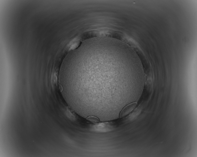 X0000086000382200703300953