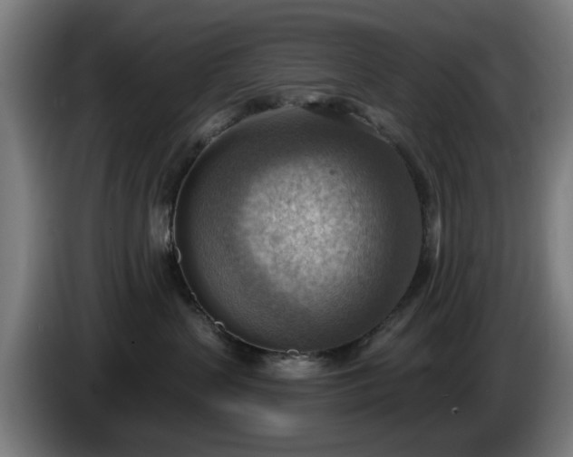 X0000086000383200703300953