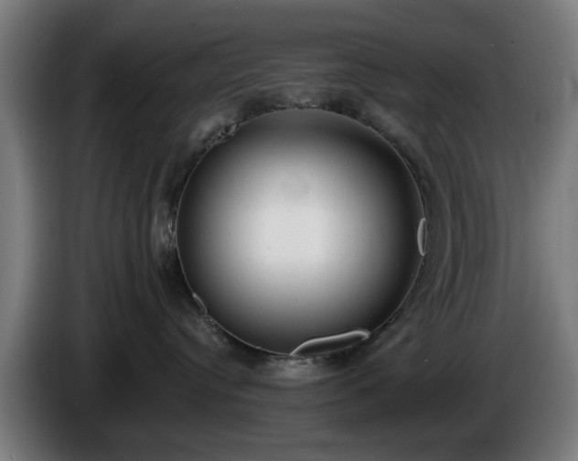 X0000086000384200703300953