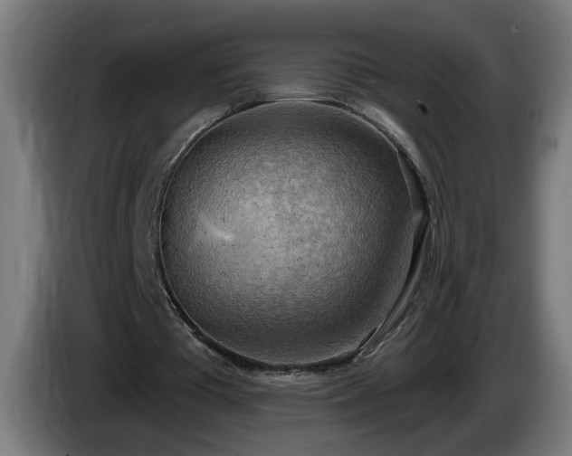 X0000086000385200703300952