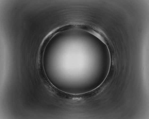 X0000086000388200703300952