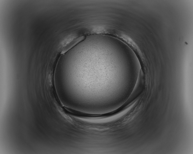 X0000086000393200703300952