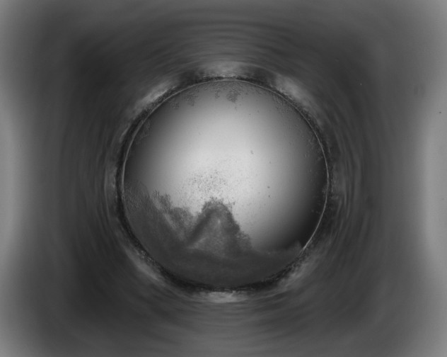 X0000086000394200703300952