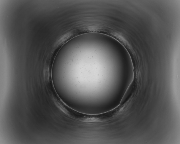 X0000086000397200703300952