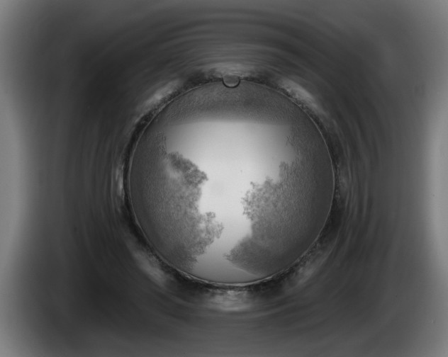 X0000086000398200703300952