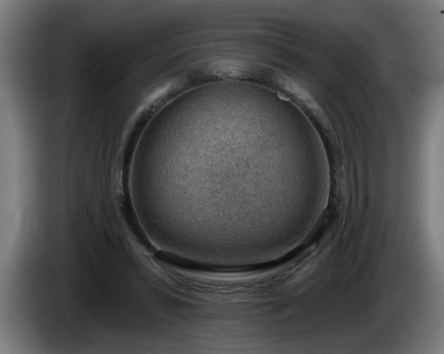 X0000086000399200703300952