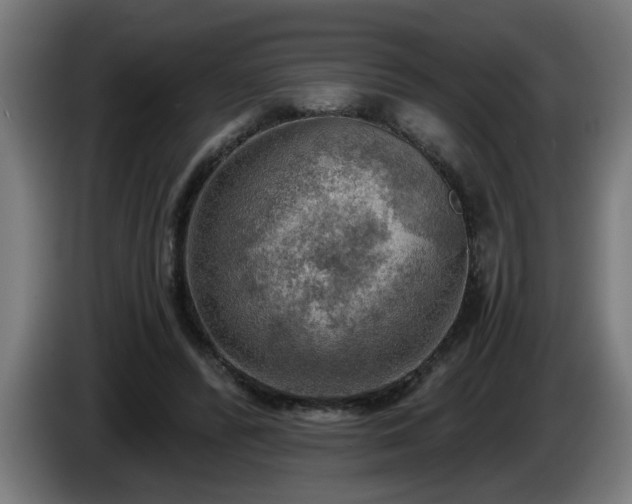 X0000086000400200703300952