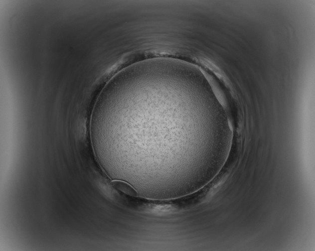 X0000086000401200703300952