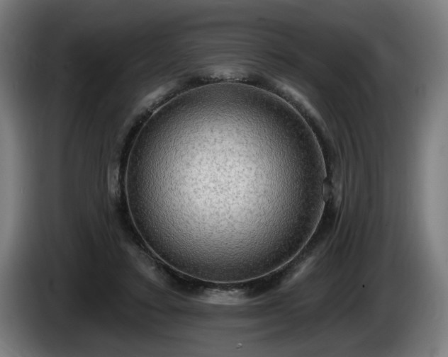 X0000086000403200703300952