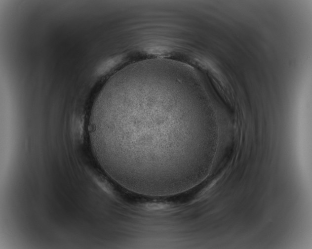 X0000086000404200703300952