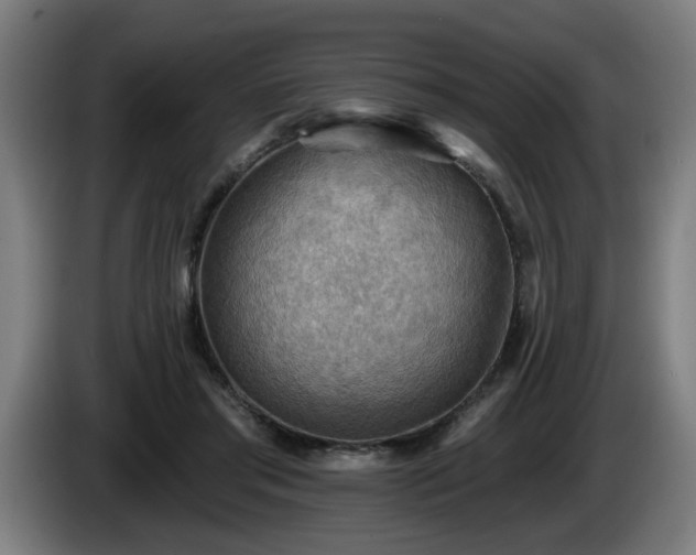 X0000086000405200703300952