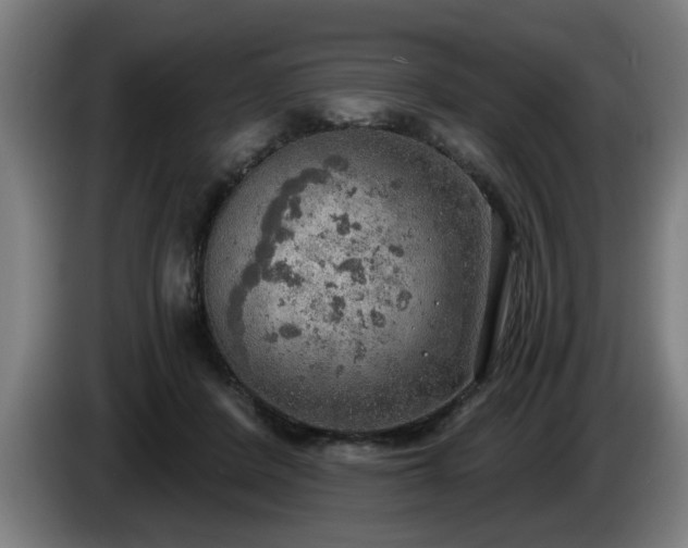 X0000086000408200703300952