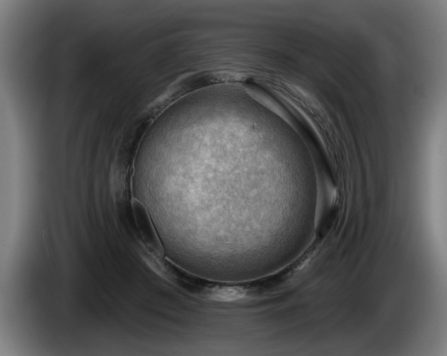 X0000086000409200703300952