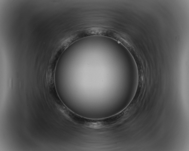 X0000086000411200703300952