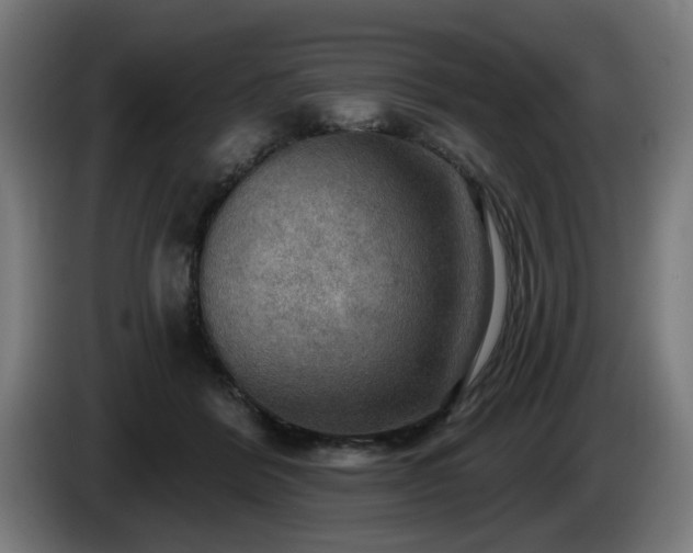 X0000086000412200703300952