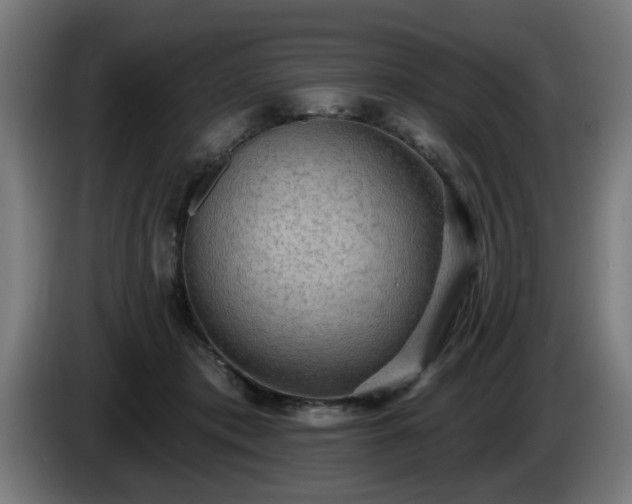 X0000086000413200703300952